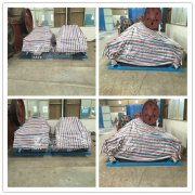 密西西比國際水務(wù)有限公