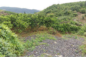 貴州余慶機制砂零排放案