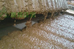 江蘇淮安河卵石洗沙零排